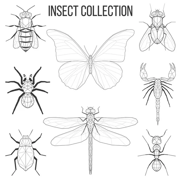 Geometrische insect set — Stockvector