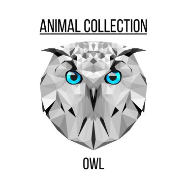 Geometrik baykuş kafası