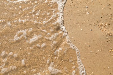 Tarafından deniz dolaşır sıçrayan bir çakıl plajı üzerinde açık deniz kabuğu