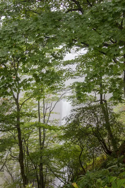 Kegon falls, Nikko, Ιαπωνία — Φωτογραφία Αρχείου
