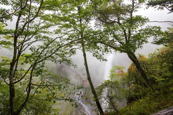 Kegon falls, Nikko, Japan — Stock Photo, Image