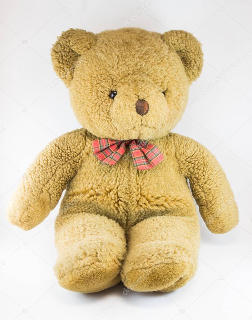 cute little teddy bear