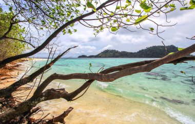 Deniz kenarındaki güzel sahne güneşli