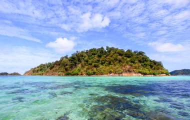 Deniz kenarındaki güzel sahne güneşli