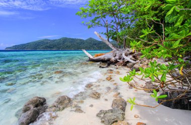 Deniz kenarındaki güzel sahne güneşli