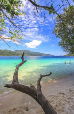 Deniz kenarındaki güzel sahne güneşli