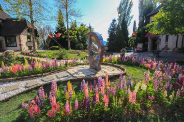 Güzel Avrupa Bahçe sahne güneşli gün içinde Japonya