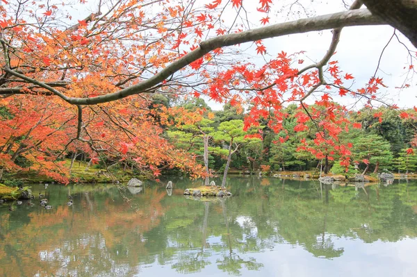 Árvores vivas e folhas durante o período de outono no Japão — Fotografia de Stock