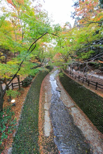 公園、京都府内経路 — ストック写真