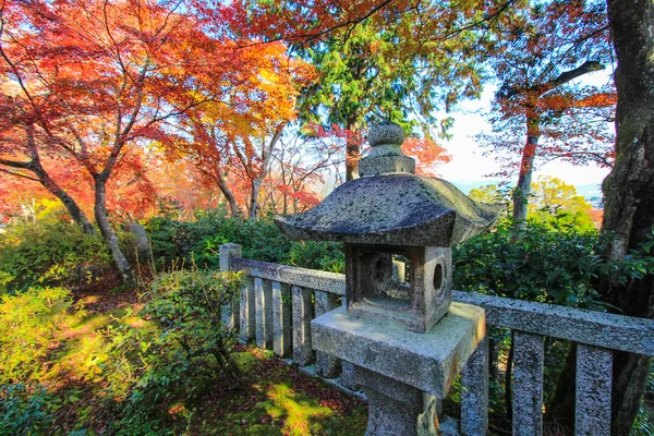 Kolorowe liście i drzewa w okresie jesieni w Japonii — Zdjęcie stockowe