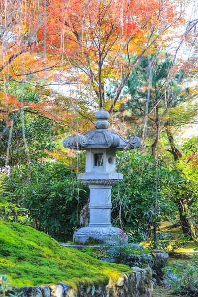 カラフルな葉し、秋の期間中に日本の木 — ストック写真