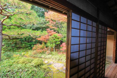 Kotoin Tapınağı Güz, Kyoto, Japonya
