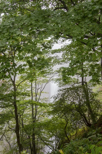 Kegon falls, Nikko, Tochigi, Giappone — Foto Stock