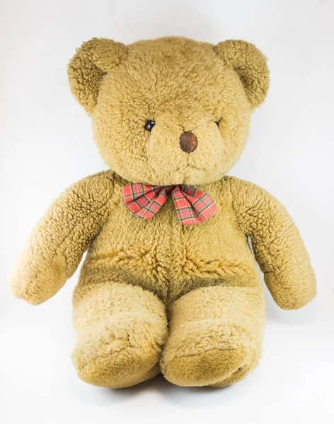 Cute Little Teddy Bear — Stock Photo, Image