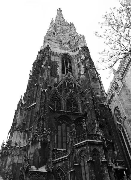 Viyana Katedrali — Stok fotoğraf