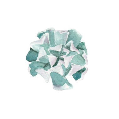 Suluboya sulu çizim