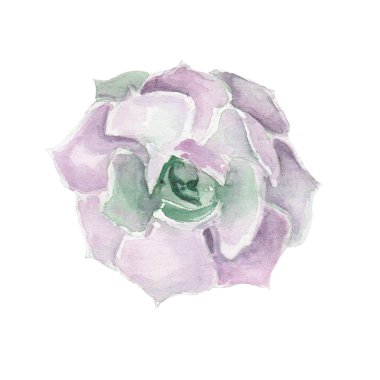 Suluboya sulu çizim