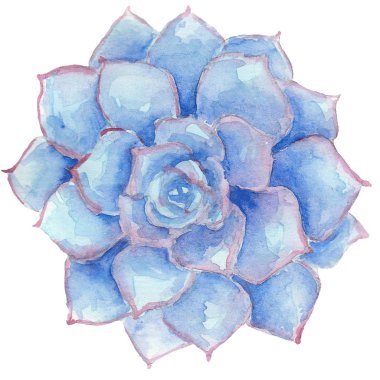 Suluboya sulu çizim