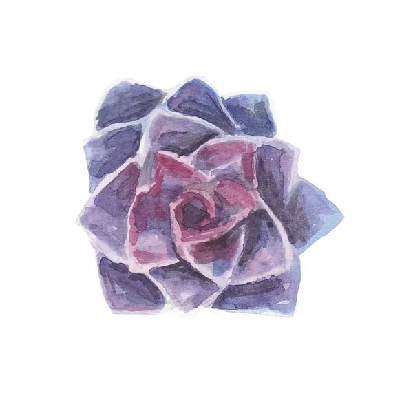 Suluboya sulu çizim