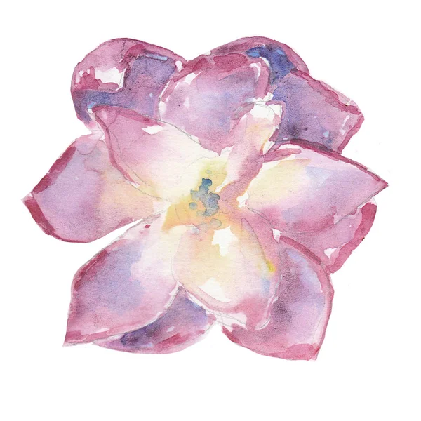 Suluboya sulu çizim