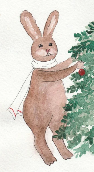 Sulu Boya Noel tavşan