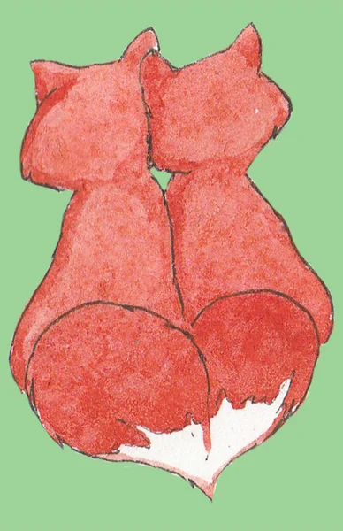 Kırmızı aşık tilki