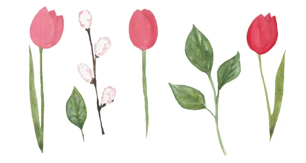 Küme suluboya bahar bitkiler