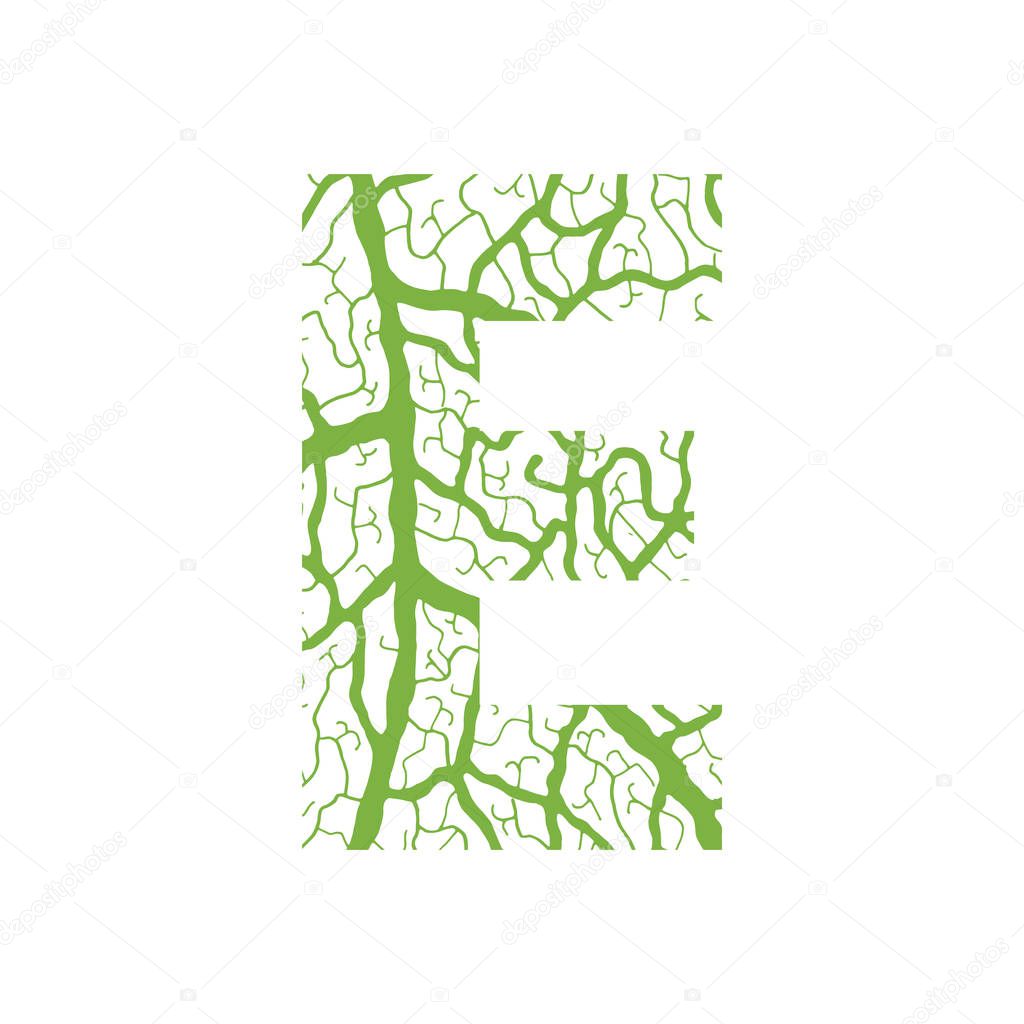Nature alphabet ecology decorative font Capital letter E filled with leaf veins pattern green