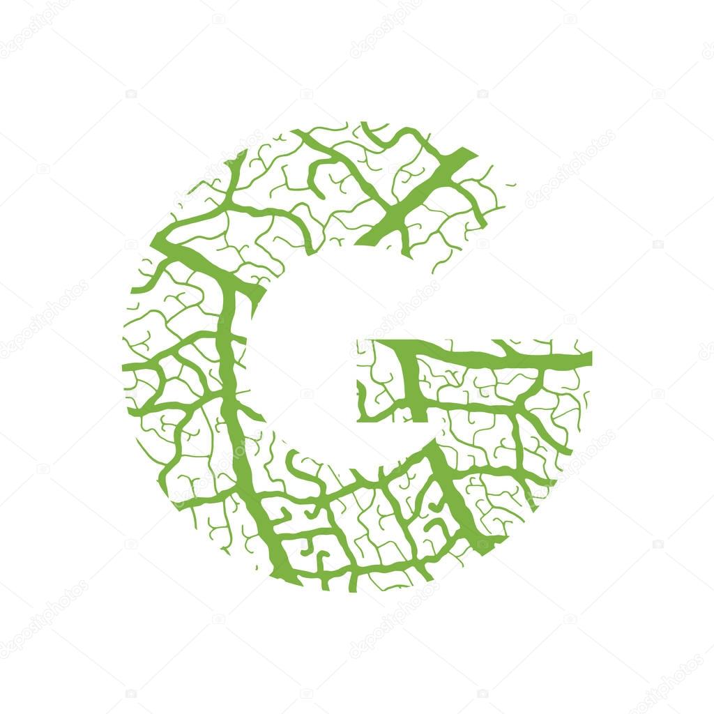 Nature alphabet ecology decorative font Capital letter G filled with leaf veins pattern green