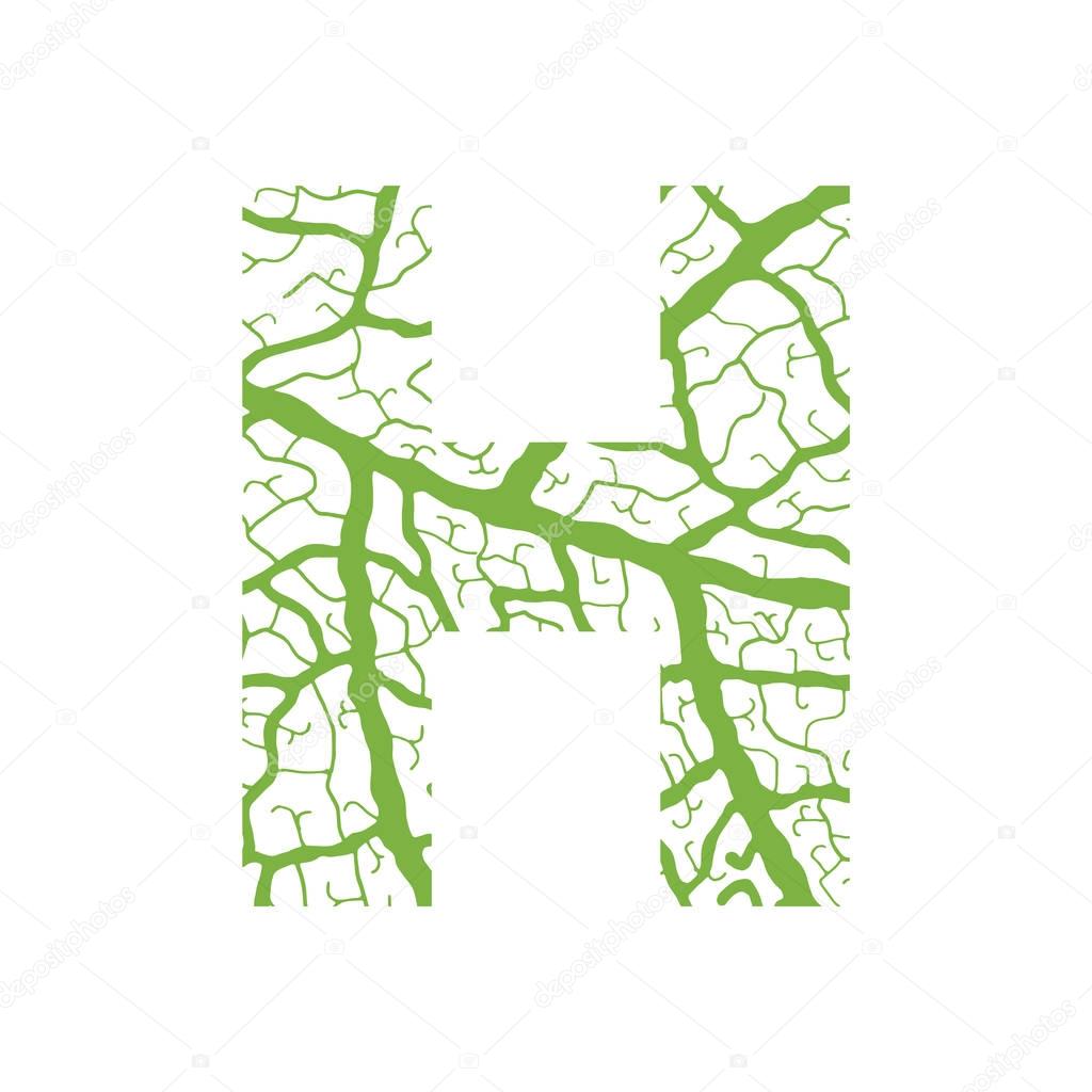 Nature alphabet ecology decorative font Capital letter H filled with leaf veins pattern green