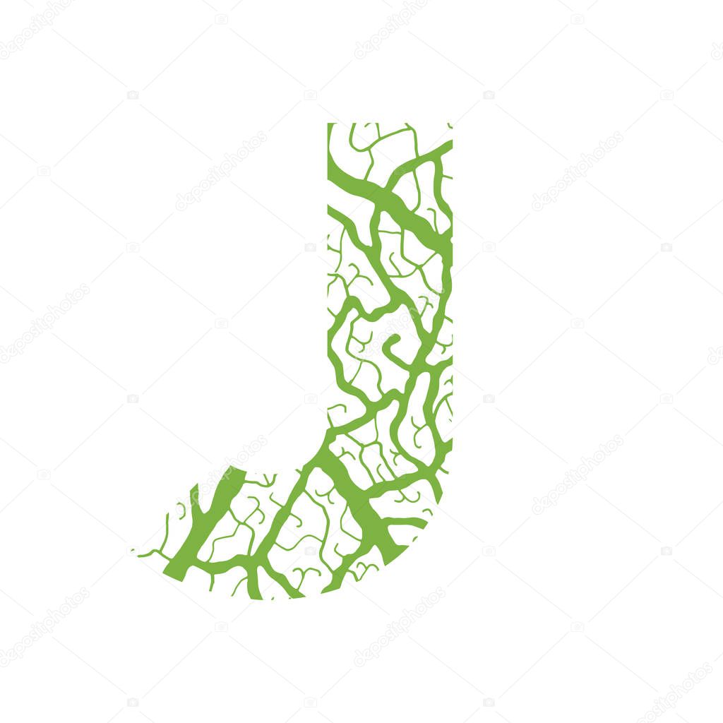 Nature alphabet ecology decorative font Capital letter J filled with leaf veins pattern green