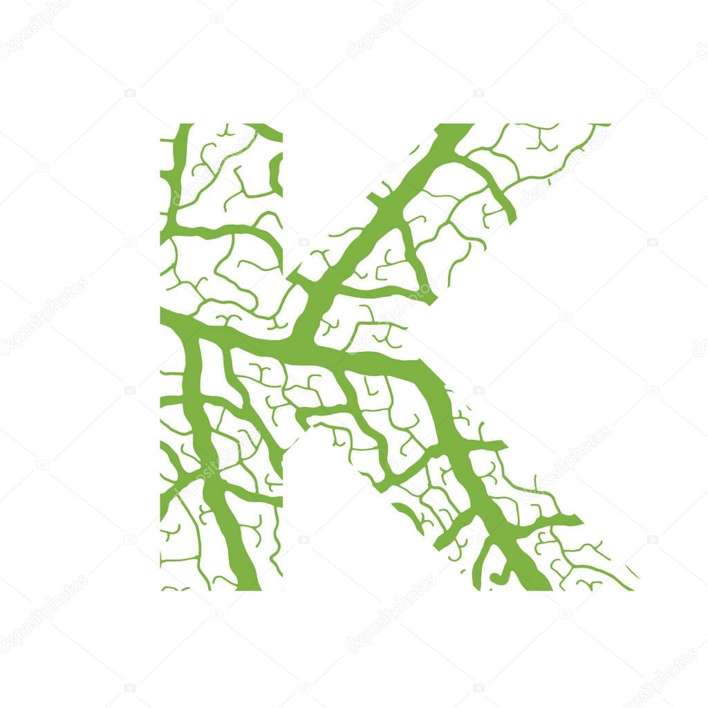 Nature alphabet ecology decorative font Capital letter K filled with leaf veins pattern green