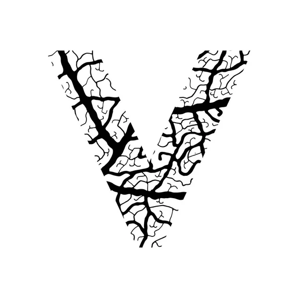 Natureza alfabeto ecologia decorativo fonte letra maiúscula W preenchido com veias folha padrão preto em —  Vetores de Stock