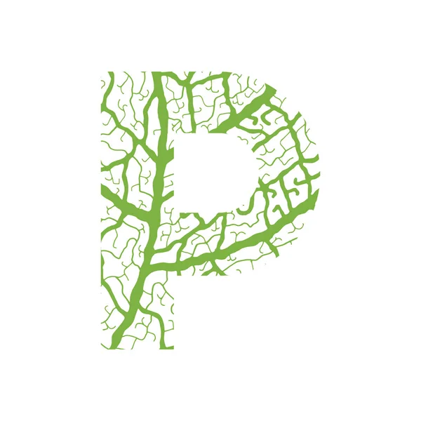 Ekologi alfabet alam dekoratif huruf kapital P diisi dengan vena daun pola hijau - Stok Vektor