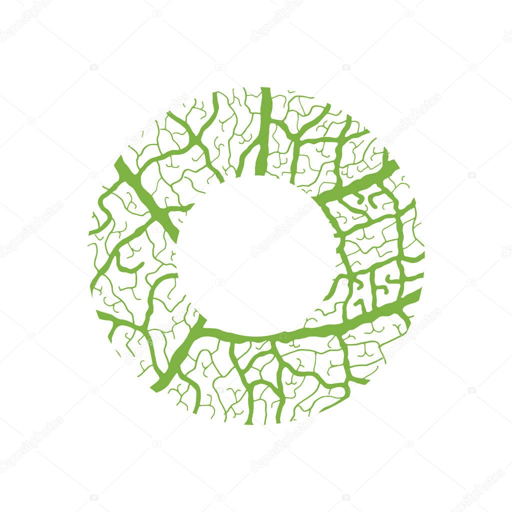 Nature alphabet ecology decorative font Capital letter O filled with leaf veins pattern green