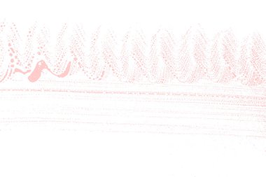 Doğal sabun doku çekici millenial pembe köpük izleme arka plan sanatsal görkemli sabun köpük