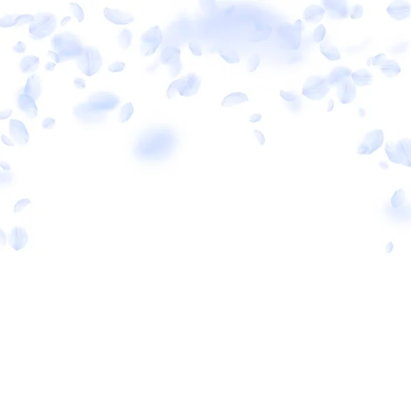Pétalos de flor azul claro cayendo. Rom con estilo — Archivo Imágenes Vectoriales
