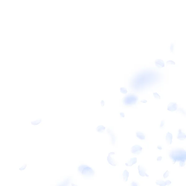 Lichtblauwe bloemblaadjes vallen naar beneden. Charmant ro — Stockvector