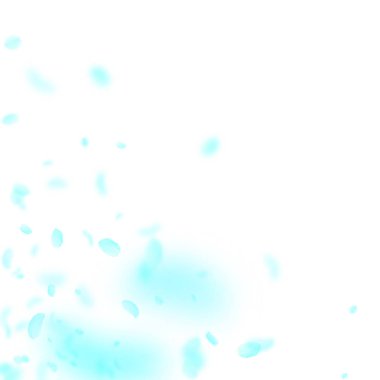 Turkuaz çiçek yaprakları aşağı düşen. Otantik ro