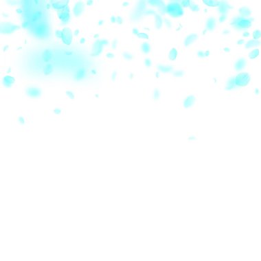 Turkuaz çiçek yaprakları dökülüyor. Olağanüstü. 