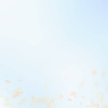 Sarı turuncu çiçek yaprakları dökülüyor. İştah