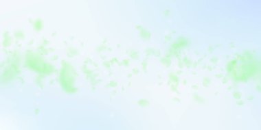 Yeşil çiçek yaprakları dökülüyor. Nadir rastlanan romantik bir gece.