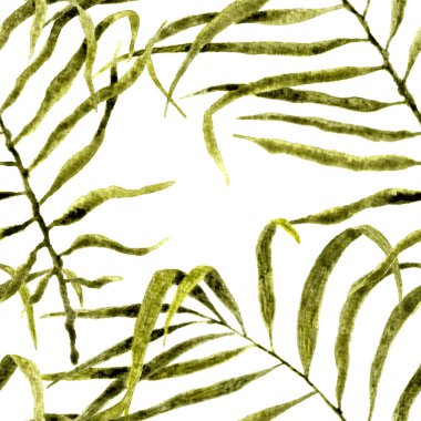 Tropikal seamless modeli. Palmiye sallanan suluboya