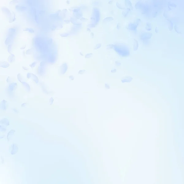 Pétales de fleurs bleu clair tombant. Superbe ro — Image vectorielle