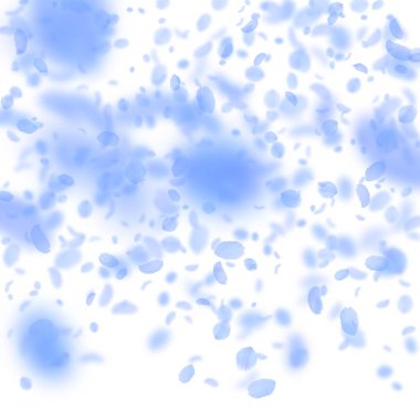 Koyu mavi çiçek yaprakları dökülüyor. Memnun edici rom.