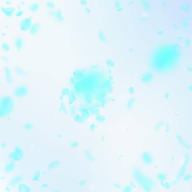 Turkuaz çiçek yaprakları aşağı düşen. Canlı roma