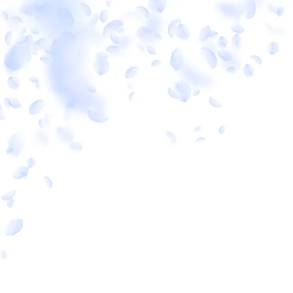 Pétalos de flor azul claro cayendo. Encantador ro — Vector de stock