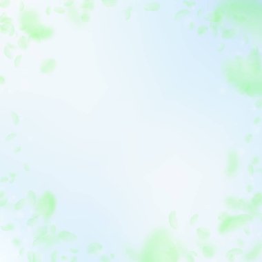 Yeşil çiçek yaprakları dökülüyor. Değerli romantik 