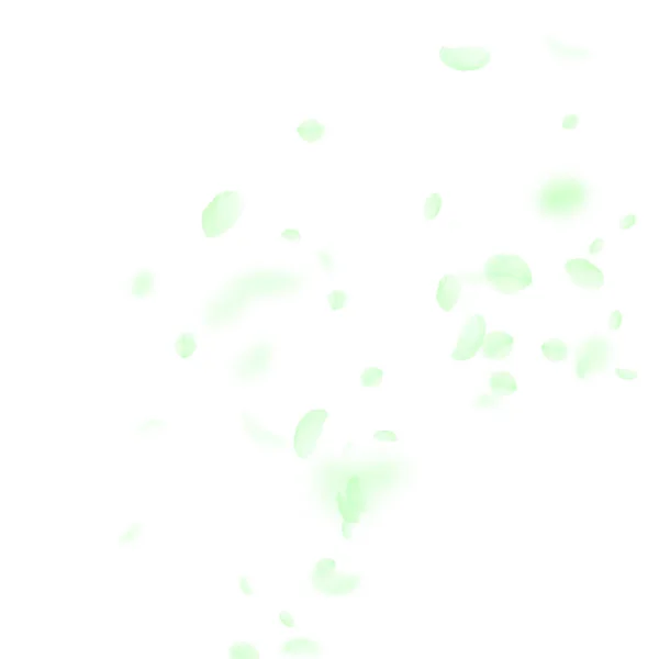 Gröna blomblad faller ner. Klassisk romantik — Stock vektor