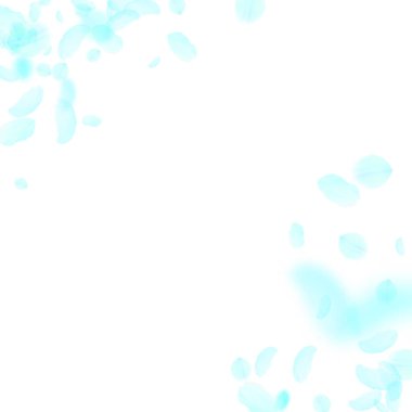 Turkuaz çiçek yaprakları dökülüyor. İdeal romantizm